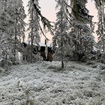 Chalé NAAVA Villa Rukatunturi Esterno foto